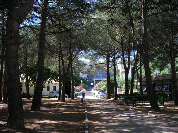 3Campus19_07_05