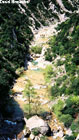 galamus-s