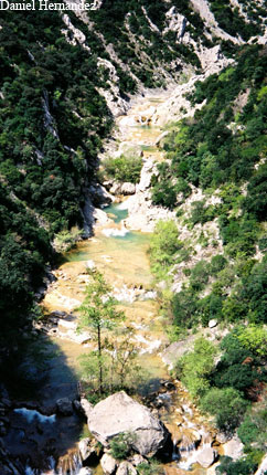 galamus